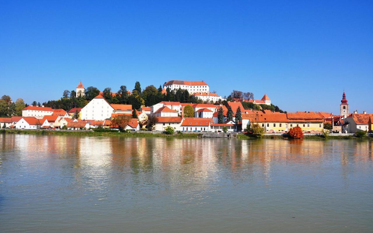 Sobe Grabar Bed and Breakfast Ptuj Exteriör bild